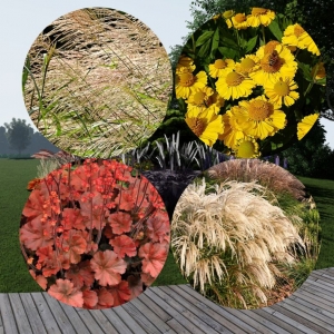 Grass flowerbed 