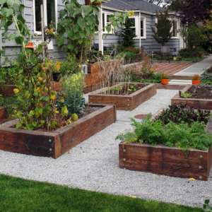 Meistarklase: Dārzkopība Urbānā Vidē – Iespēja radīt Zaļu Oāzi uz pilsētas akmeņiem