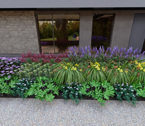 Zīmējums dobei ēnainā nogāzē 5m2