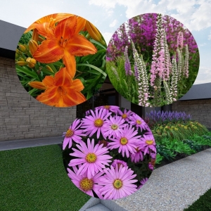 Zīmējums dobei ēnainā nogāzē 5m2